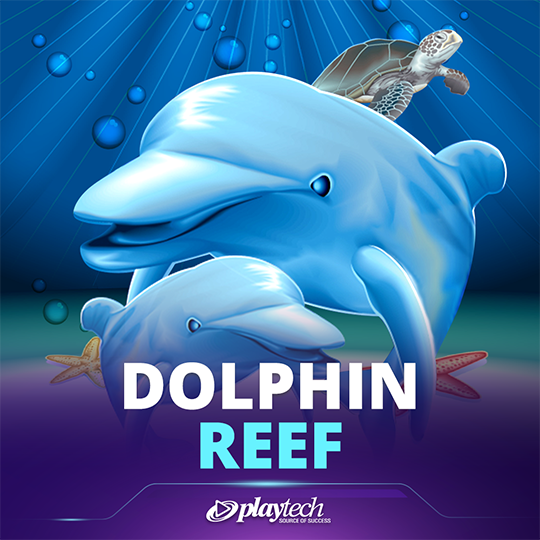 Dolphin Reef